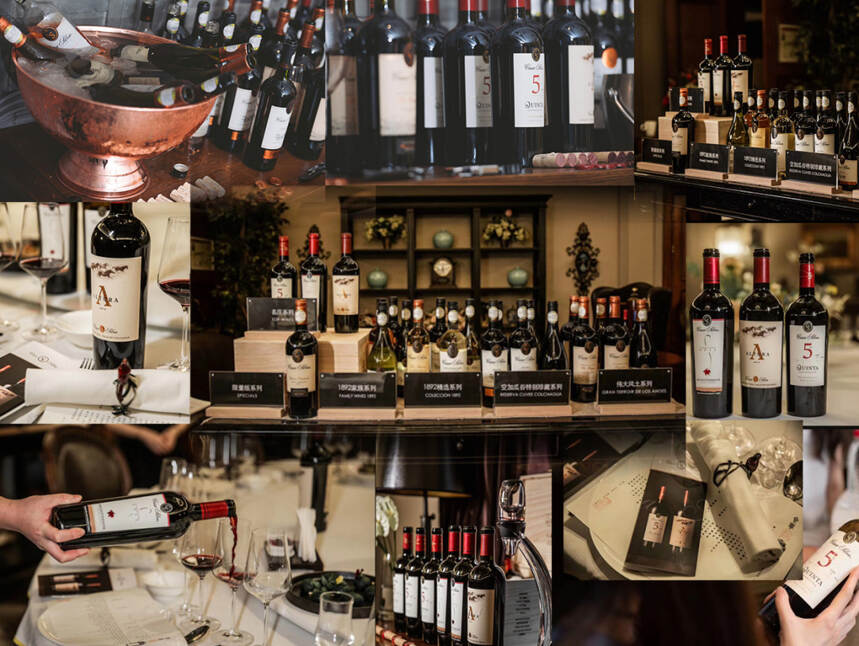 这家智利酒庄，采用“组合拳”打法，用智利国宝葡萄品种酿造好酒