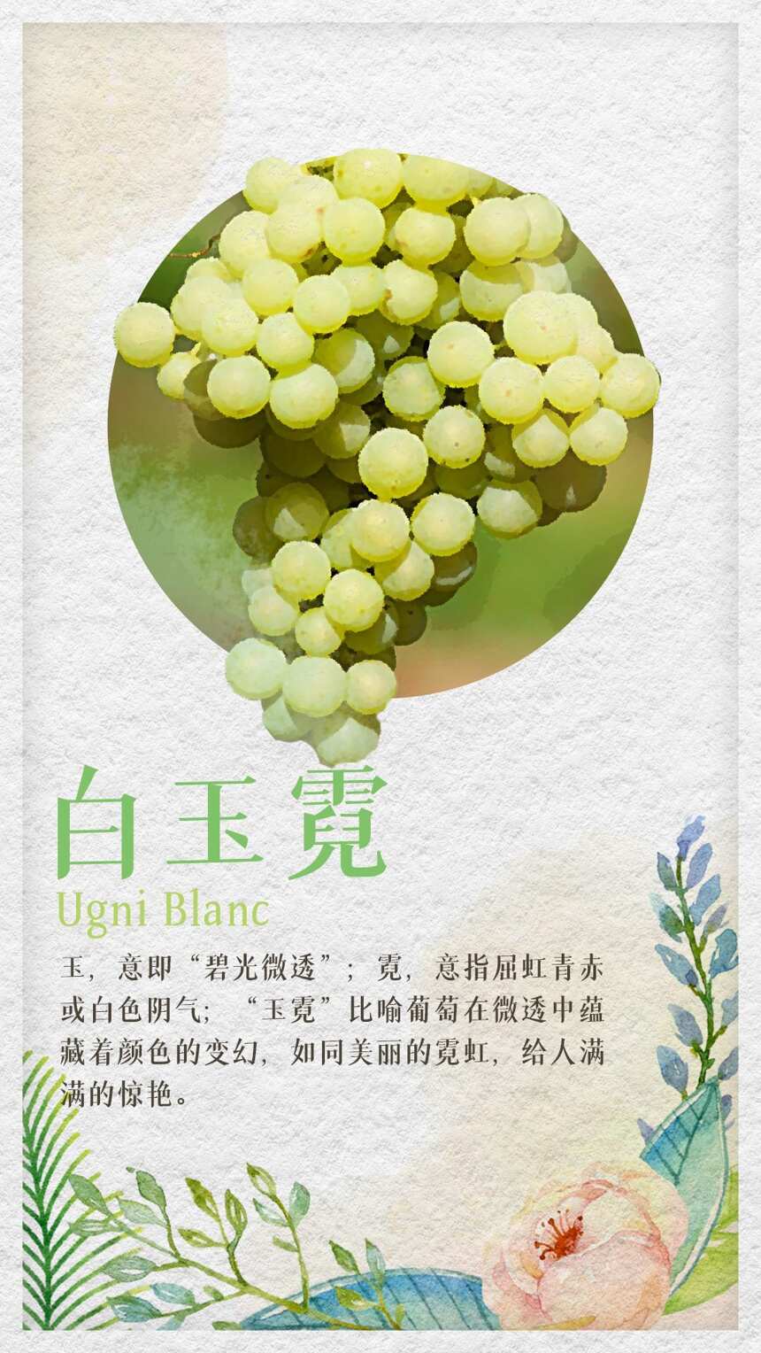 中国人给葡萄起的名字，也太诗意了吧