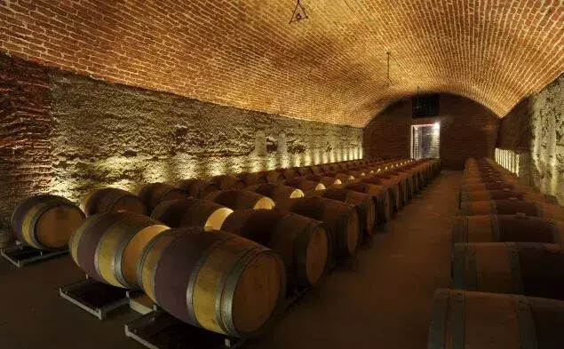 《智利葡萄酒年鉴》编者：“十八罗汉”已不能足够体现智利葡萄酒