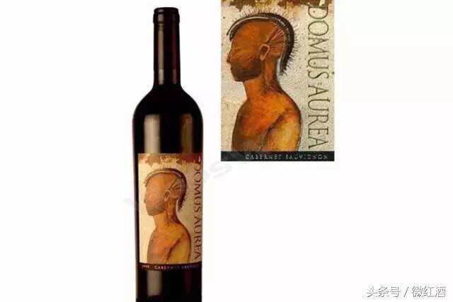 智利葡萄酒酒王 18 罗汉都有谁？