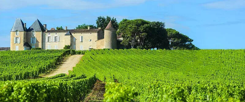 法国各大原产地背后绑定的葡萄品种是什么？