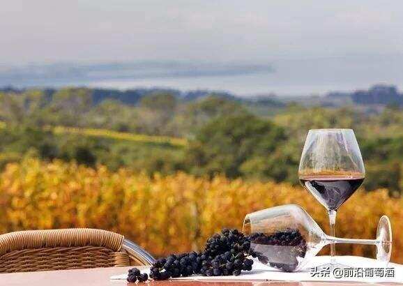 勃艮第(BURGUNDY)葡萄酒产区概述，简要了解著名的勃艮第产区