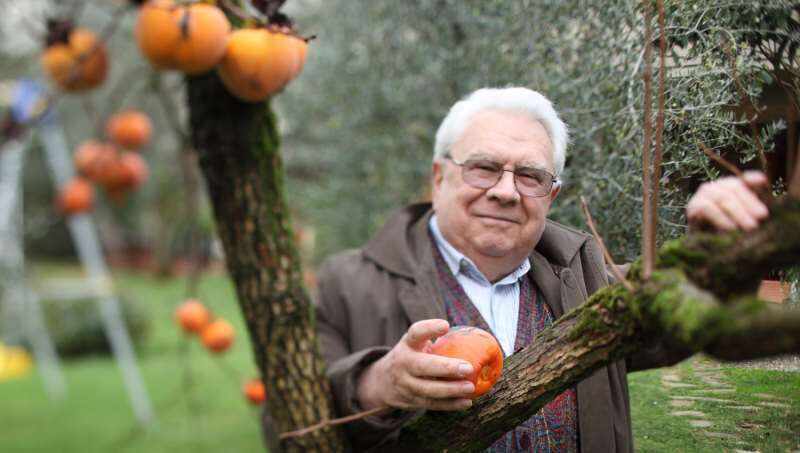 50年热忱，“意大利葡萄酒之父”——贾科莫·塔吉斯