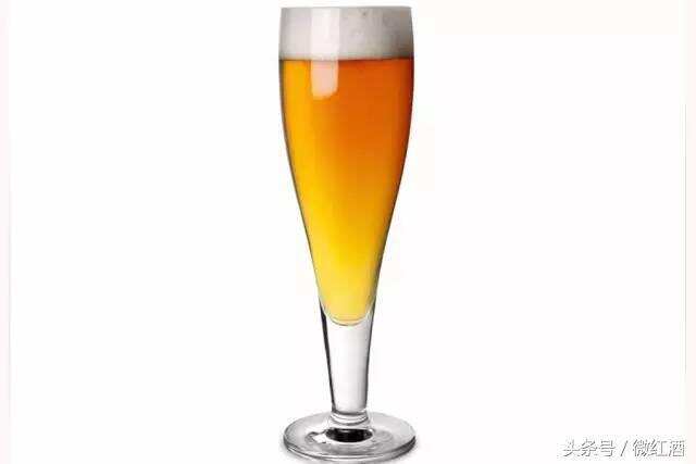 盘点 10 大经典啤酒杯，你常用的是哪种？