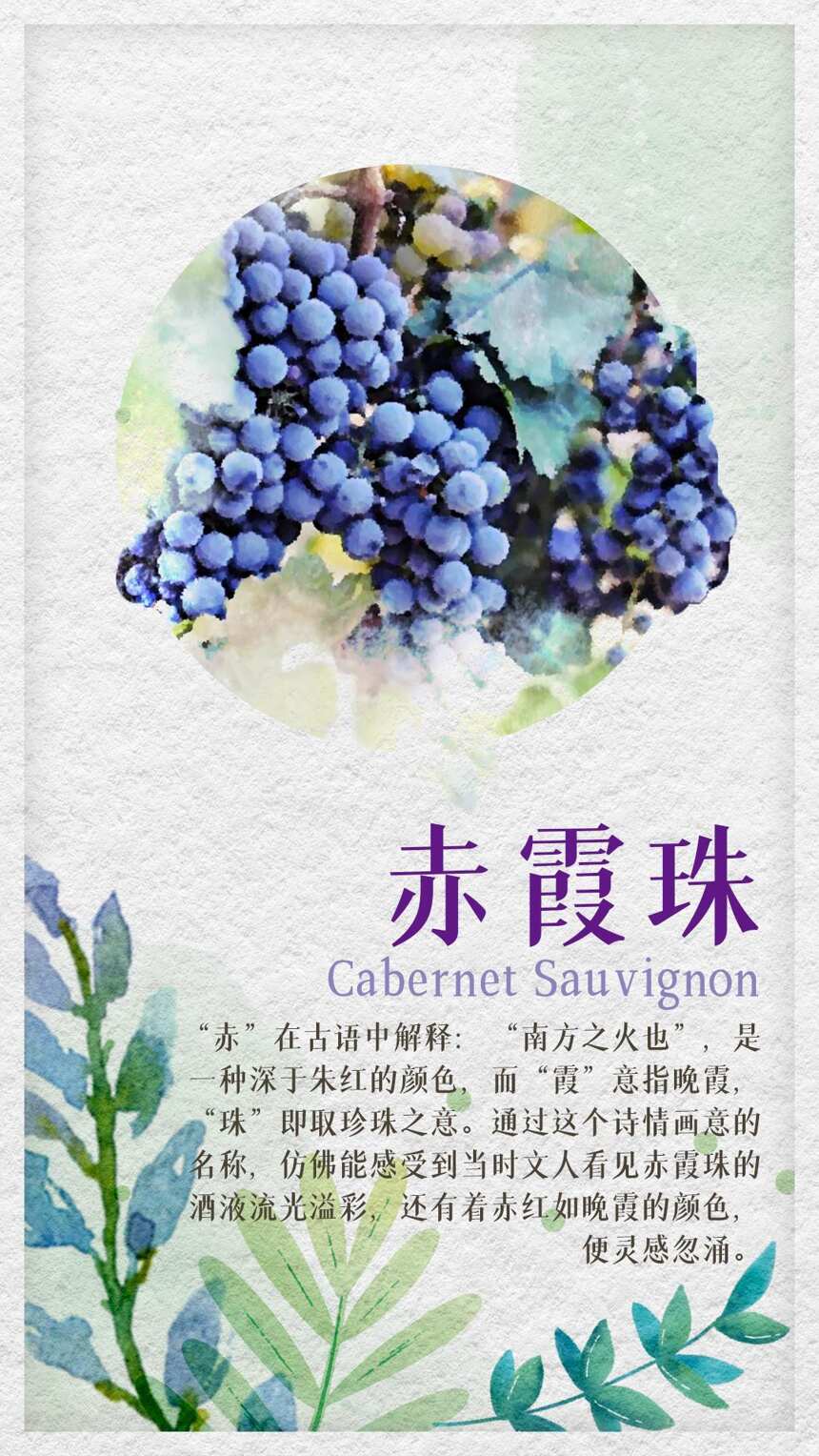 中国人给葡萄起的名字，也太诗意了吧