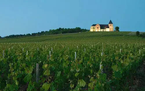 认识法国葡萄酒产区
