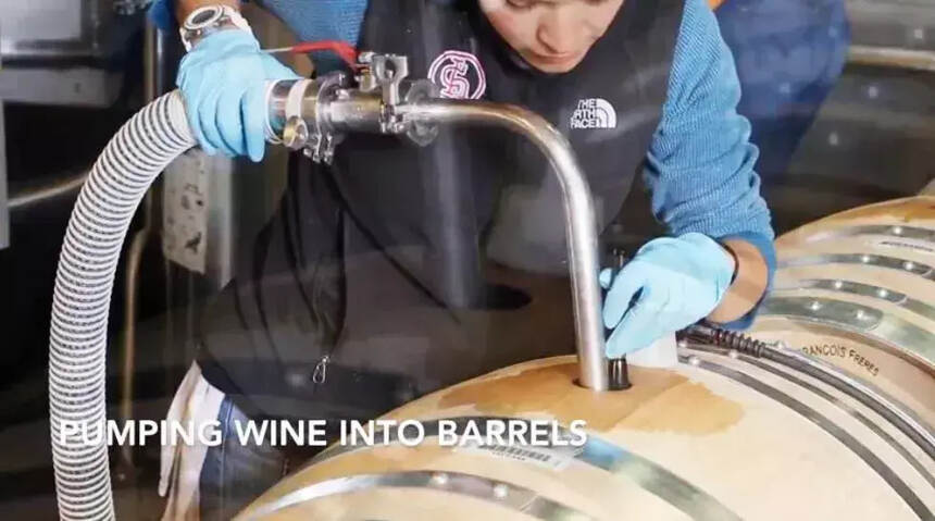 图片解析，从一颗嫩芽到葡萄酒的全过程