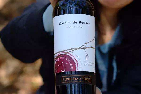 榜单｜2016 年智利 10 大最贵葡萄酒