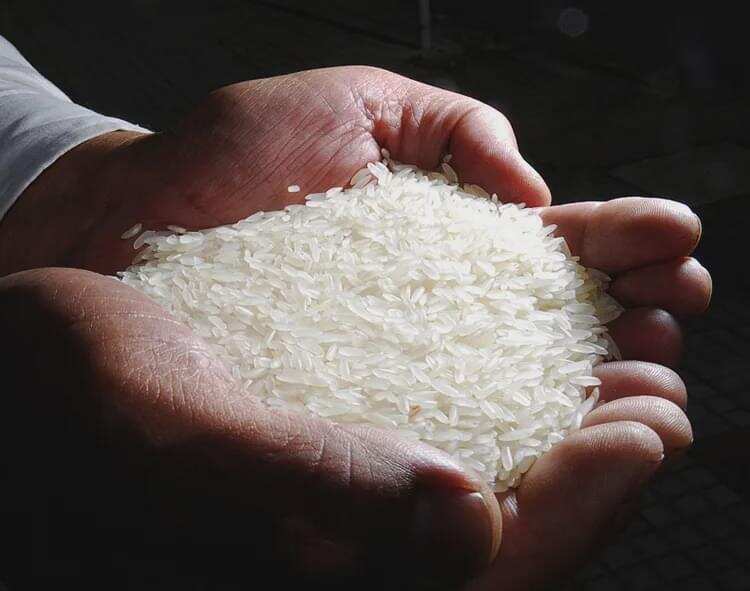 3 元和 300 元 1 斤的米区别在哪？