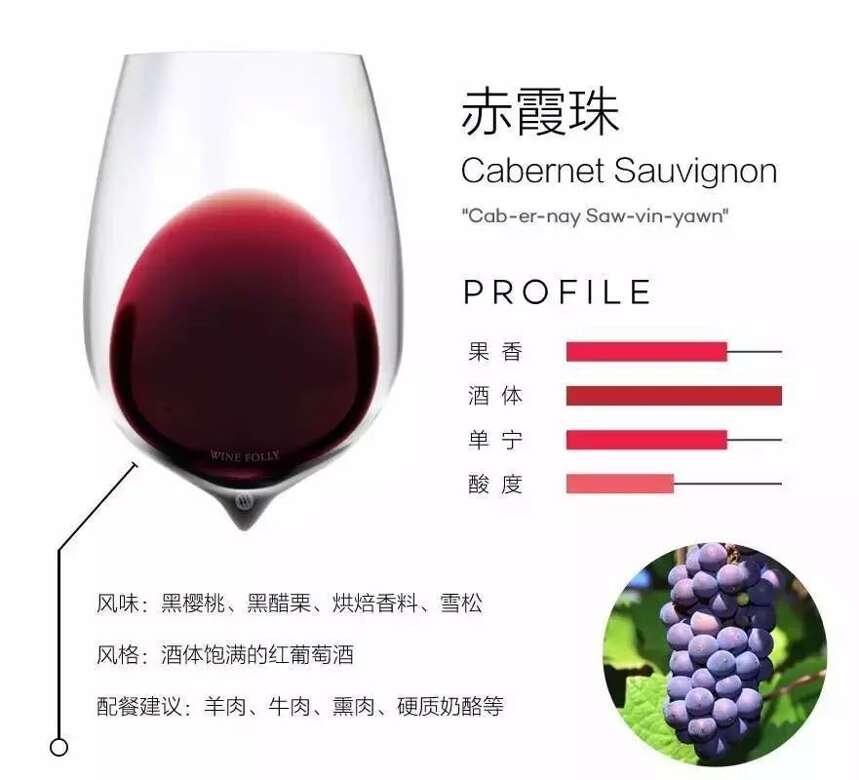 葡萄品种图鉴带你了解常见的葡萄品种