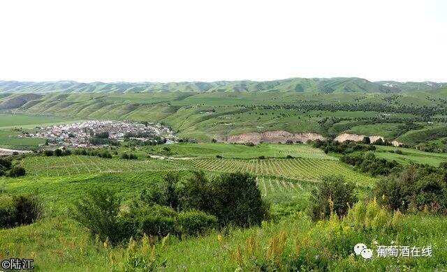 新疆伊犁河谷，集美酒美食美景于一体的葡萄酒产区