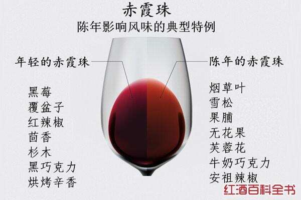 妙招｜5招教你轻松辨别葡萄酒的陈年潜力