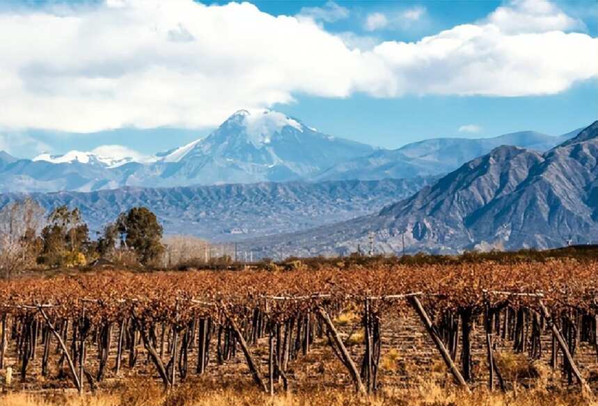 阿根廷｜探秘南美第一葡萄酒产国