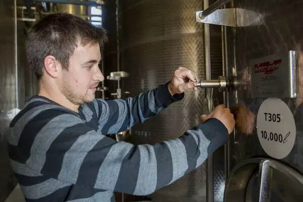 为什么葡萄酒中二氧化硫不可或缺？