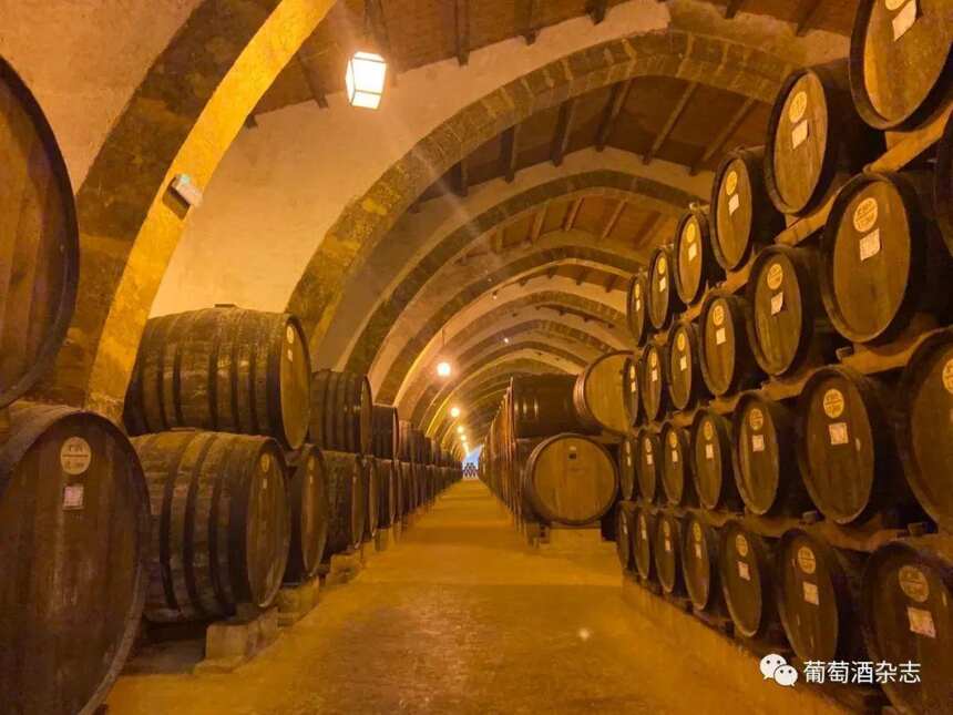 意大利最有历史的葡萄酒居然是它