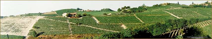巴罗洛五大核心村庄及其优质葡萄园