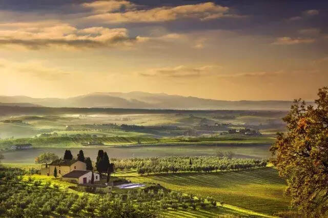 意大利被评为世界最佳葡萄酒之乡
