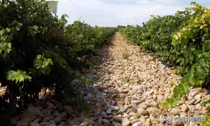 法国罗讷河流域(The Rh'ne Valley)产区和葡萄酒简介