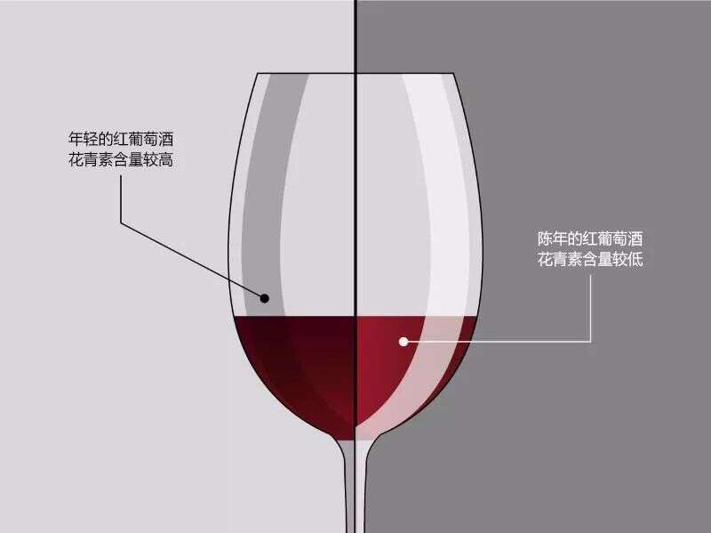 神技能｜白葡萄酒可以去除污渍？