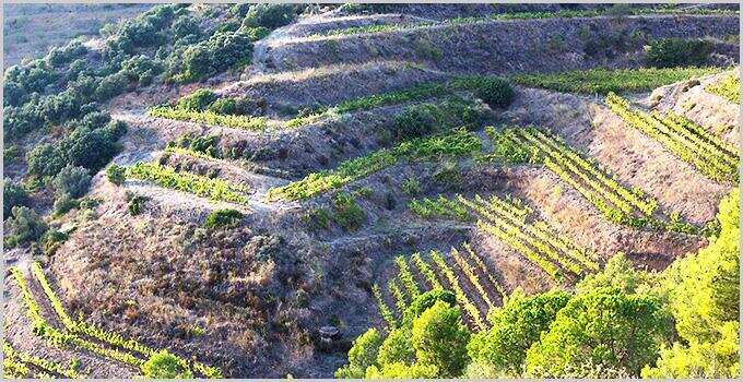 西班牙葡萄酒的“宝藏”产区