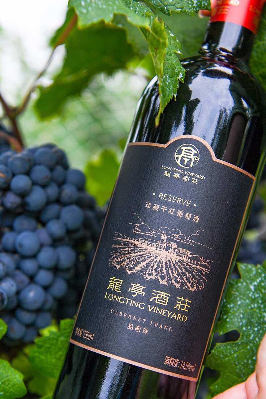 WA2021年度中国精品葡萄酒十大榜单