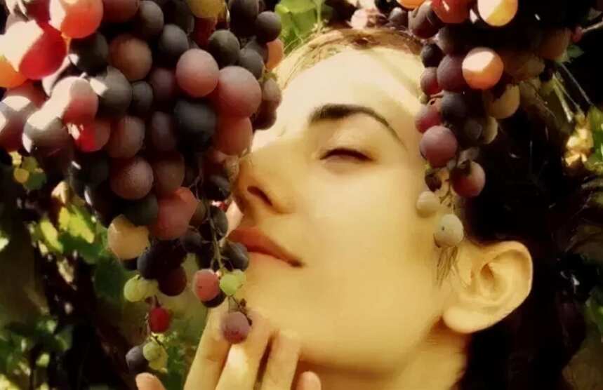 为什么葡萄酒里喝不出葡萄味？