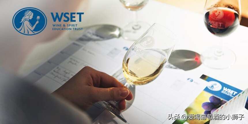 品酒师资格证书——WSET证书