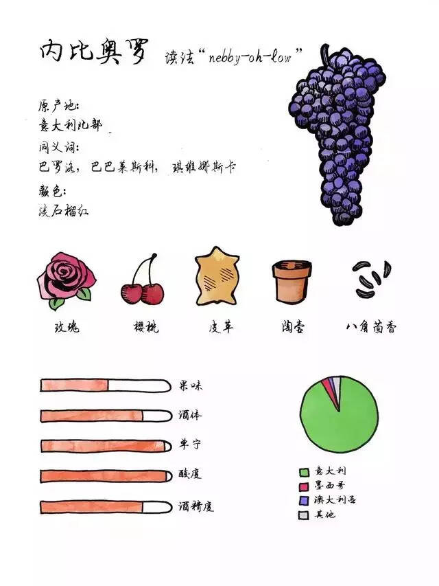 扫盲文！一句话概括25个国际葡萄品种的特点（上）