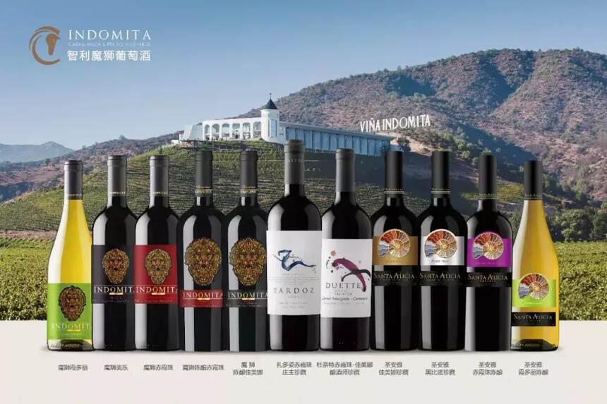 智利魔狮葡萄酒针对中国推出“10040”计划，谁将成为其中一员？