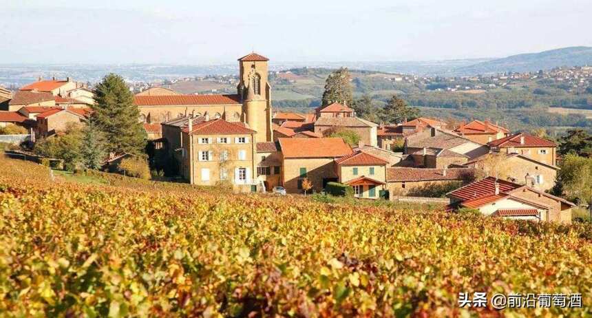 法国勃艮第朱里耶纳和拉铎产区的葡萄酒简介
