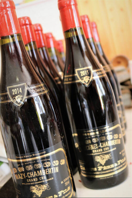 「法庄」勃艮第“复古派”葡萄酒的杰出代表-卡穆酒庄