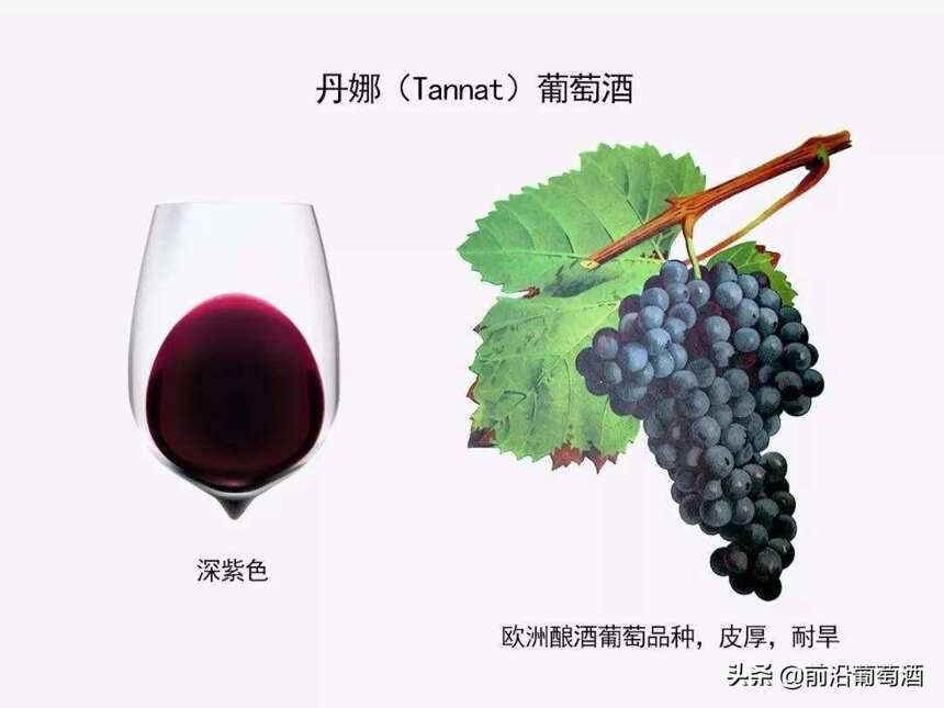丹娜葡萄酒，科普最常见的100种葡萄酒佳酿之一的丹娜葡萄酒