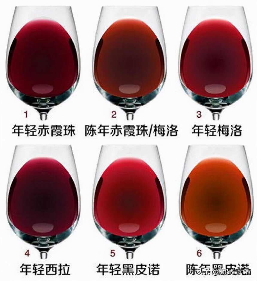 观察葡萄酒的黏度、液面和酒泪识别葡萄品种和产地等信息