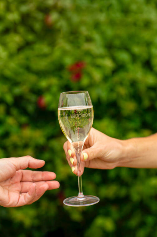 香槟7月全球销量上升33.3%，起泡葡萄酒为何率先回血？