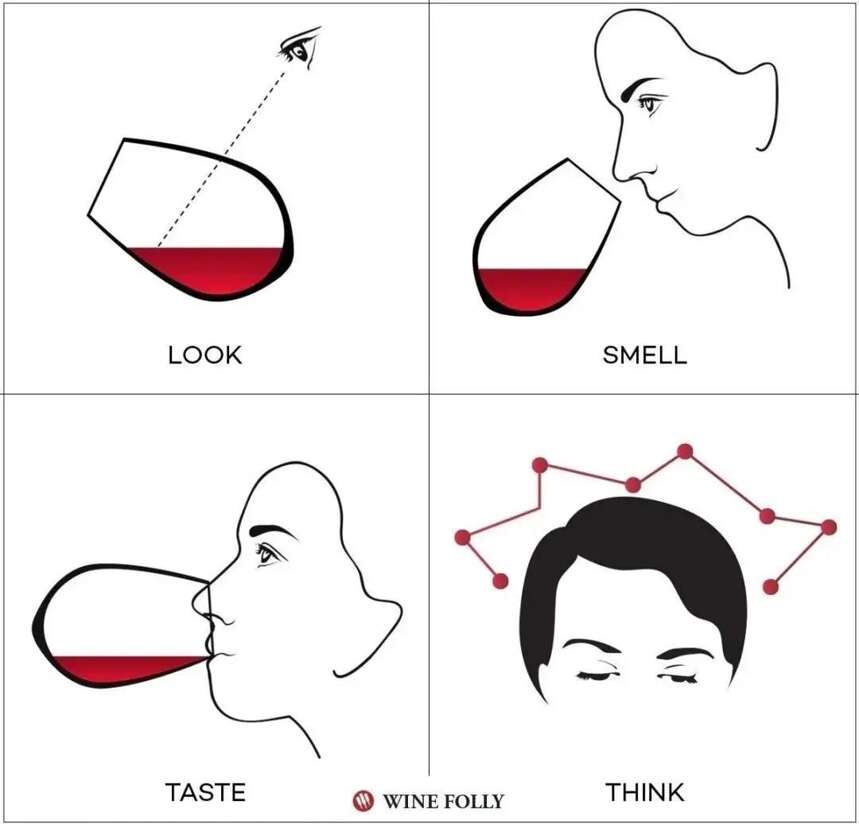 脑洞丨葡萄酒的风味哪里来？全靠想象