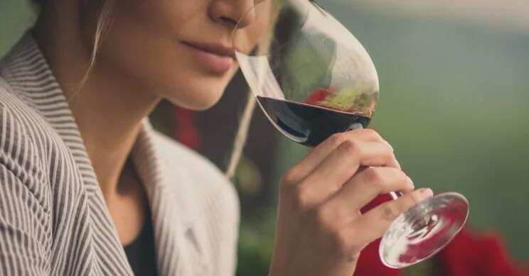 美国专家说喝葡萄酒能健脑，这事儿靠谱吗？
