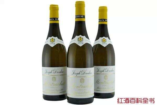 霞多丽：全球最流行的白葡萄酒