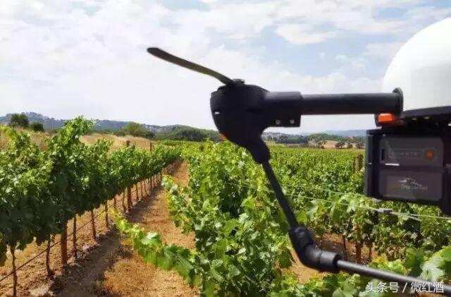 葡萄酒种植和运输都用起了无人机，还有什么不能的？