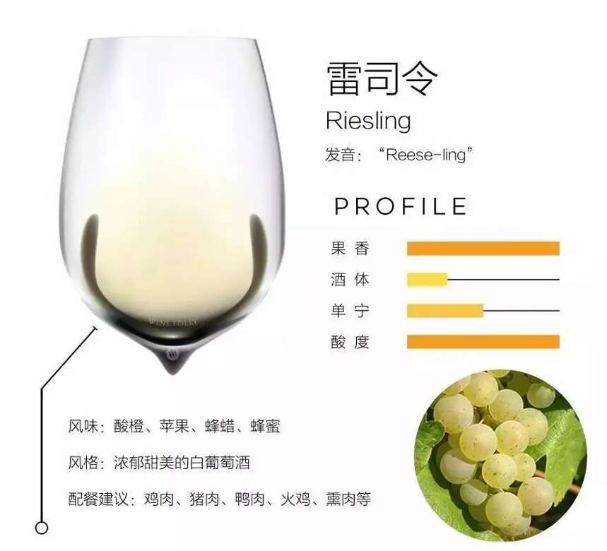 葡萄品种图鉴带你了解常见的葡萄品种