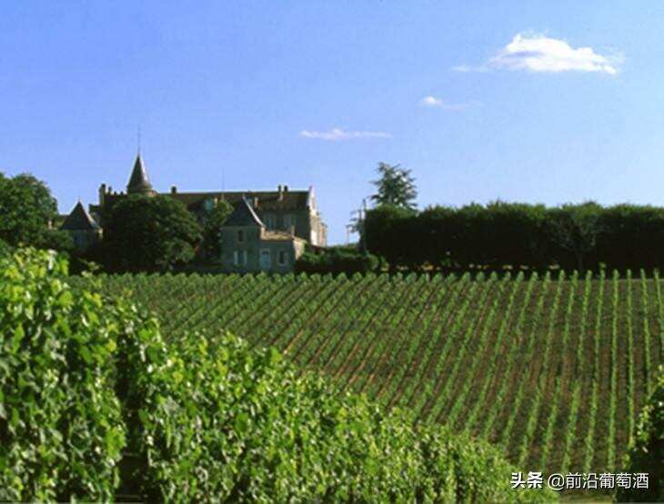 法国卢瓦尔河流域的蜜思卡得葡萄酒，别具风味的蜜思卡得葡萄酒