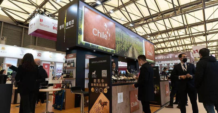 “内卷”的智利精品葡萄酒