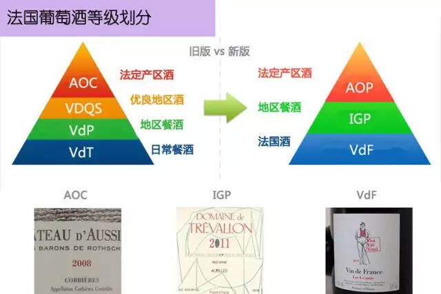 法国葡萄酒分级 AOC、AOP、VDP和 IGP分别是什么？