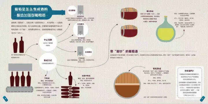 图解｜葡萄酒到底是怎么酿造出来的？