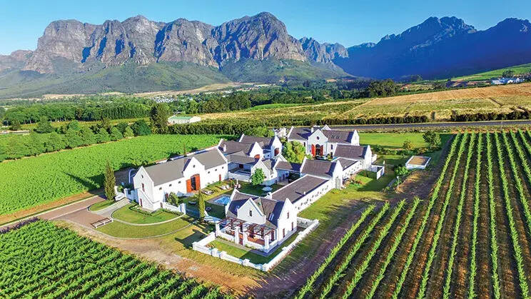「产区指南」南非：葡萄酒未来趋势