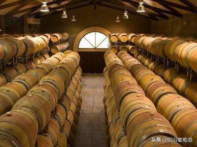 如何在产地找到好葡萄酒？参观葡萄酒生产者酒窖应知道的事