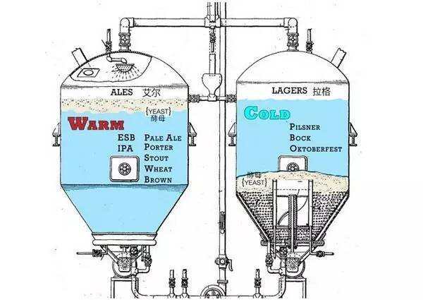 终于知道精酿啤酒与工业啤酒的区别了