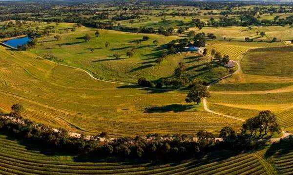 澳洲最经典的雷司令葡萄酒产区：克莱尔谷 VS 伊顿谷