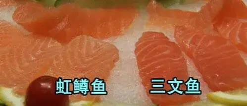 最新背锅侠三文鱼不能吃了？某日料店：其实我们卖的是虹鳟鱼……