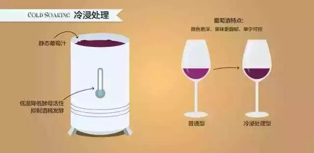 影响葡萄酒风味的6大酿酒工艺！