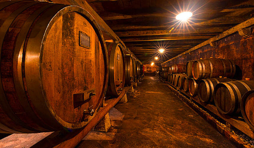 斯洛文尼亚桶：拒绝葡萄酒审美pua，不是只有法国桶才能酿出好酒